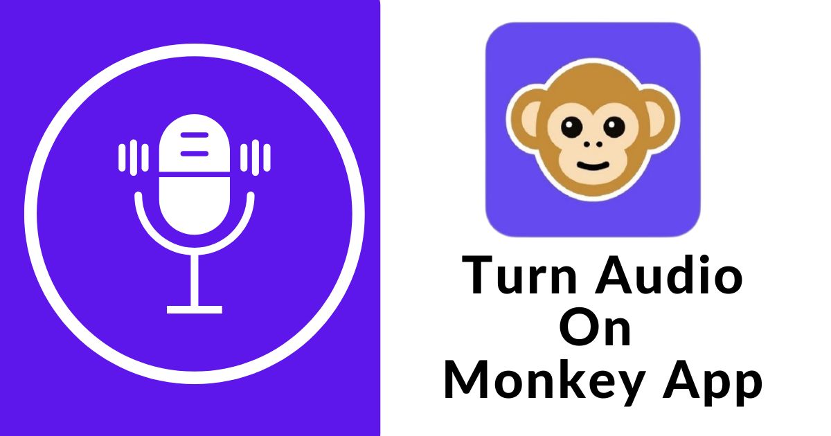 Turn Audio On Monkey App